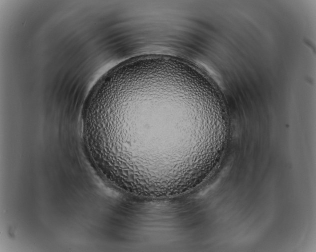 X0000091371125200708241327