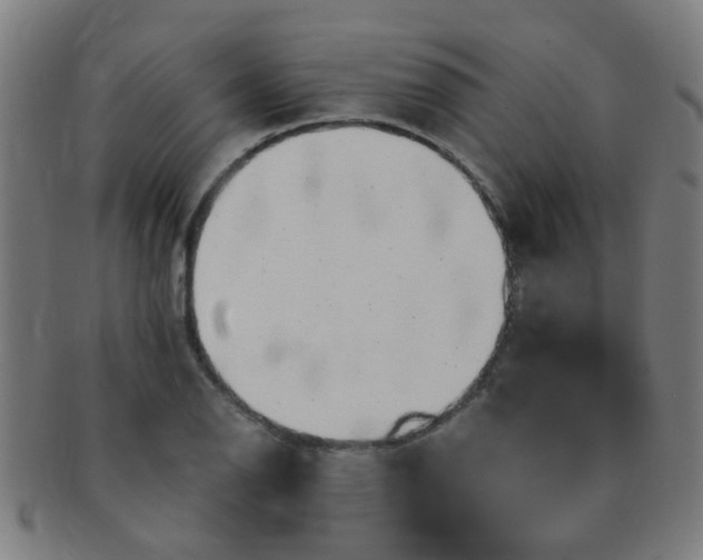 X0000091371126200708241327