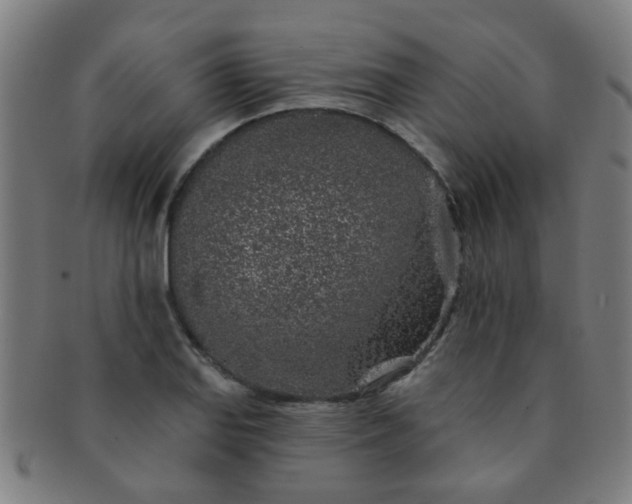 X0000091371127200708241327