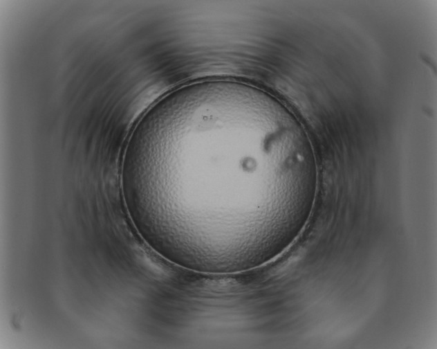 X0000091371129200708241327