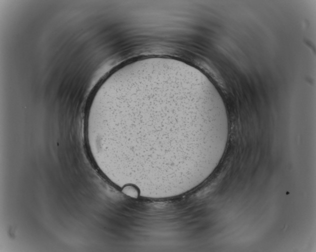 X0000091371130200708241327