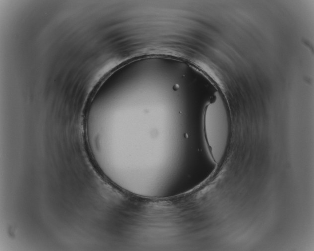 X0000091371133200708241327