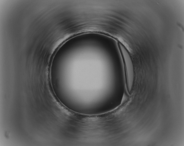 X0000091371134200708241327