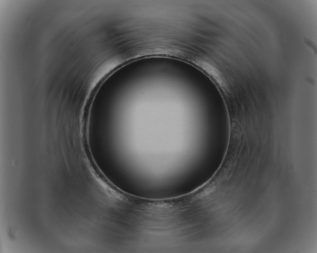 X0000091371135200708241327