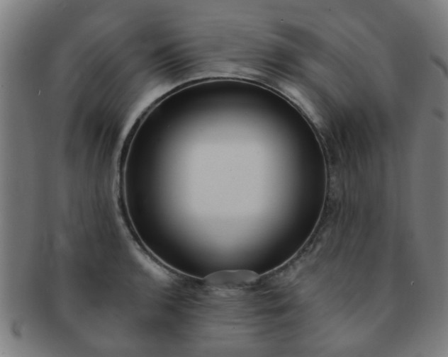 X0000091371136200708241327