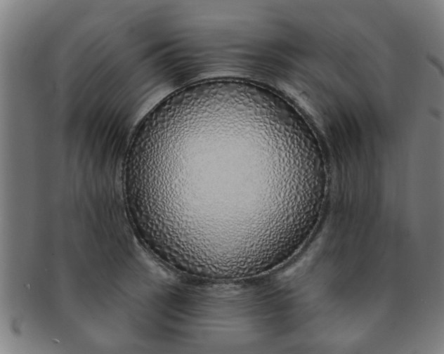 X0000091371137200708241327