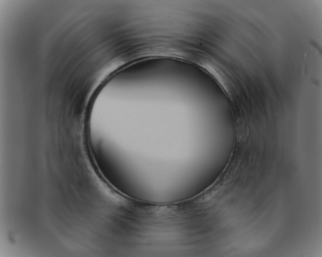 X0000091371139200708241327