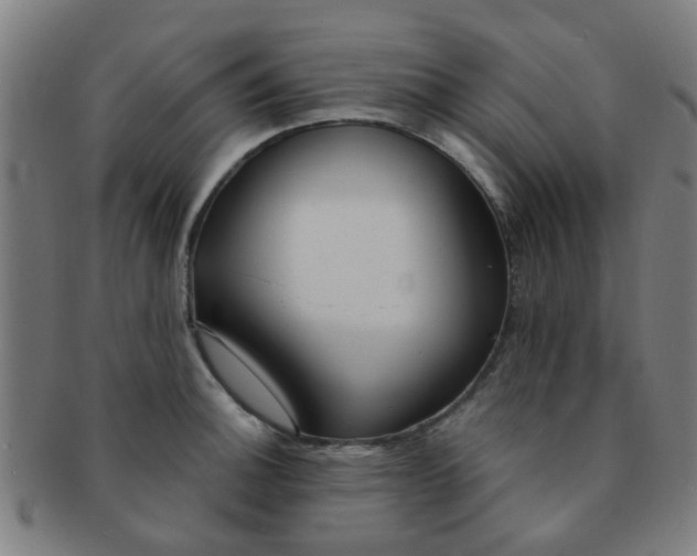 X0000091371140200708241327