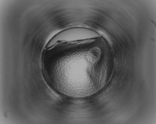 X0000091371141200708241327