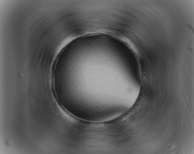 X0000091371143200708241327