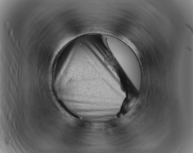 X0000091371144200708241327