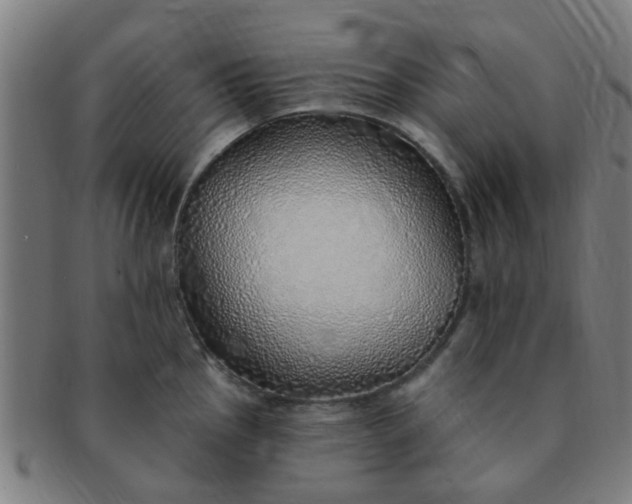 X0000091371145200708241327