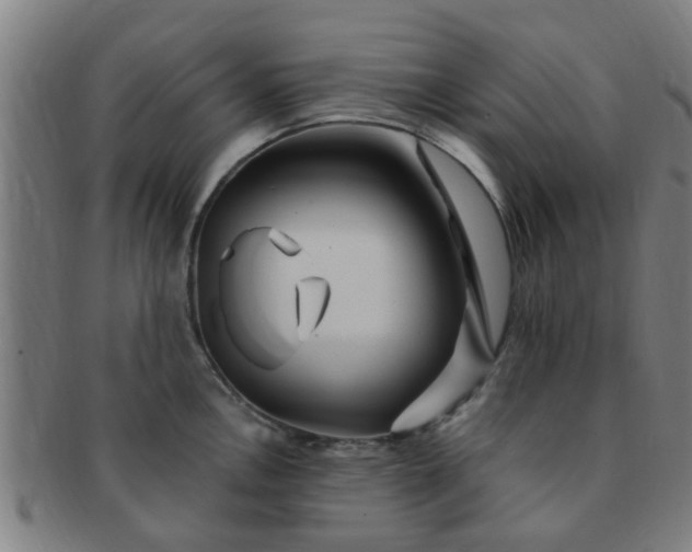 X0000091371146200708241327