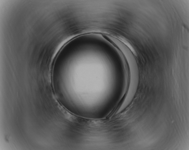 X0000091371148200708241327