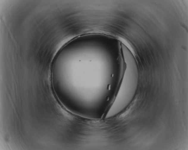 X0000091371149200708241327