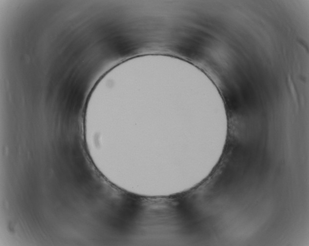 X0000091371150200708241327