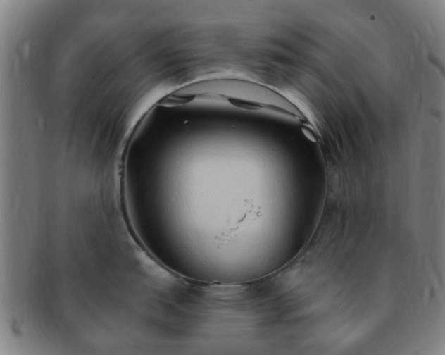 X0000091371151200708241327