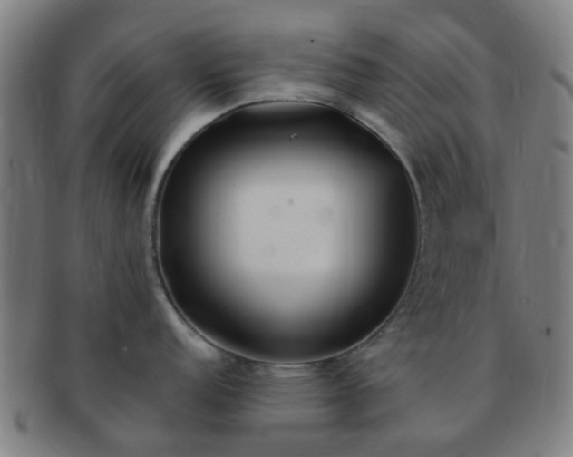 X0000091371152200708241327