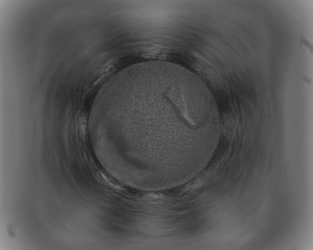 X0000091371154200708241326