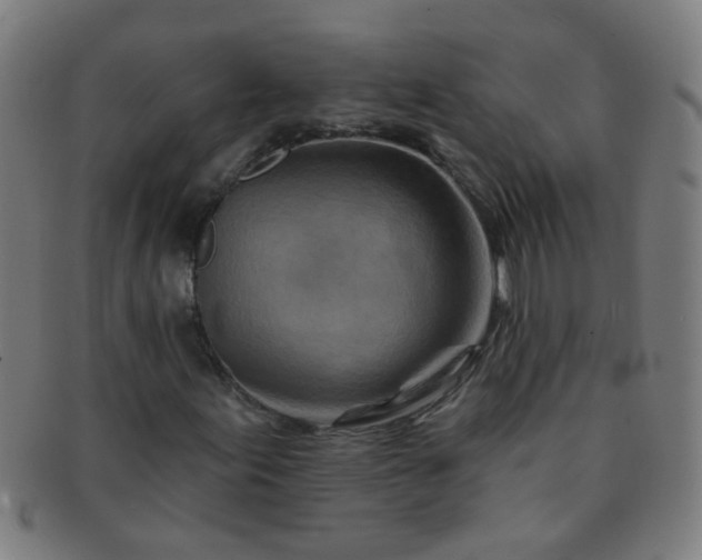 X0000091371155200708241326