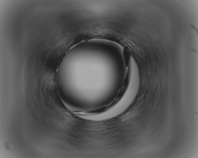 X0000091371156200708241326