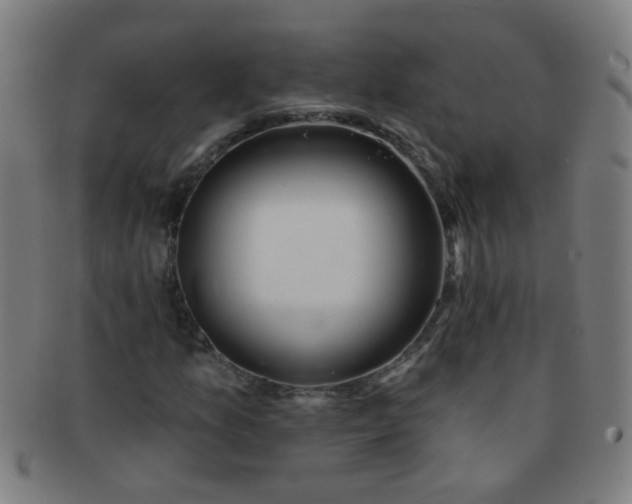 X0000091371157200708241326