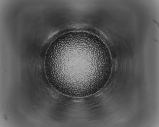 X0000091371158200708241326