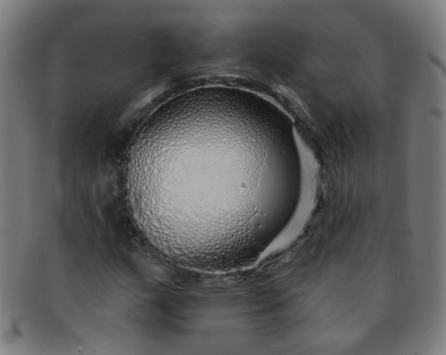 X0000091371159200708241326