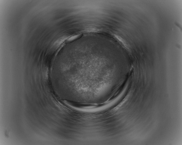 X0000091371161200708241326