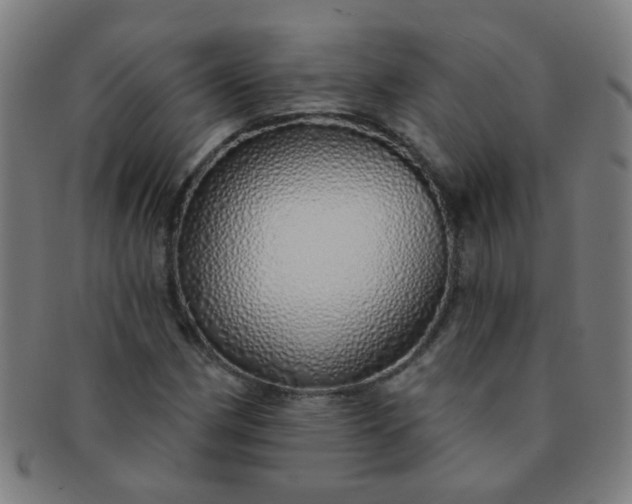 X0000091371162200708241326