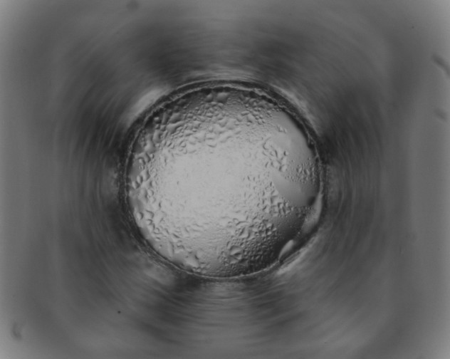 X0000091371163200708241326