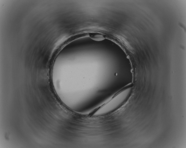 X0000091371164200708241326