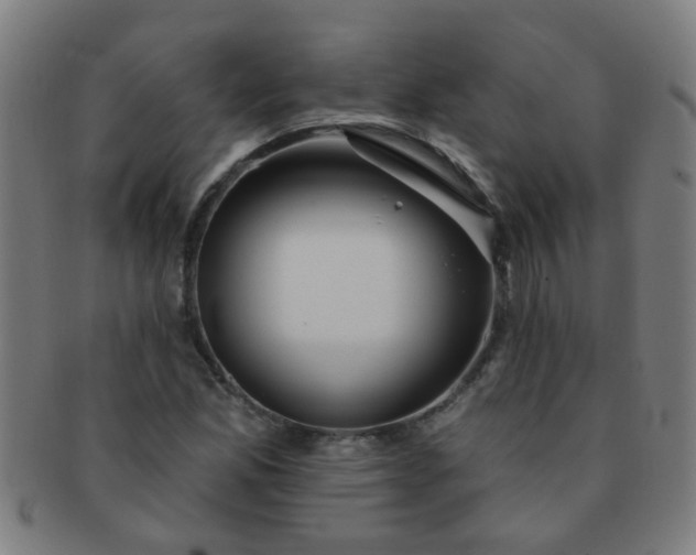 X0000091371165200708241326