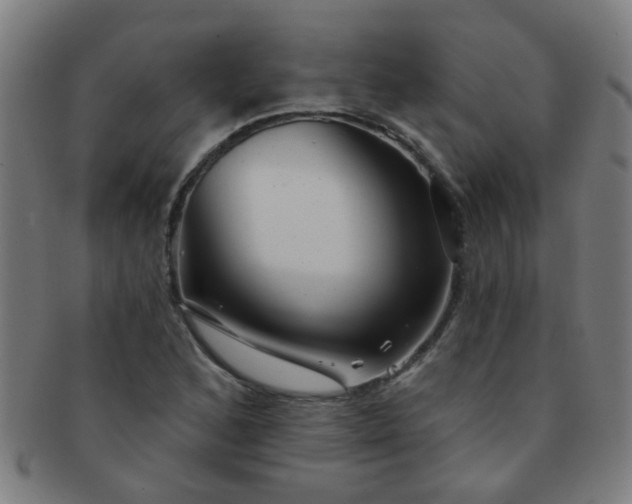 X0000091371168200708241326