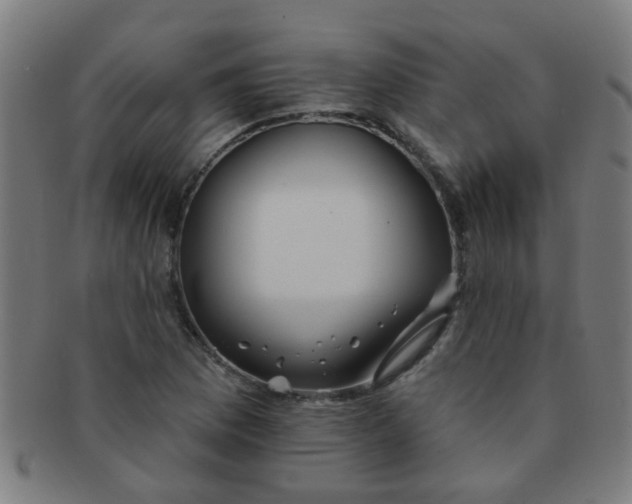 X0000091371169200708241326