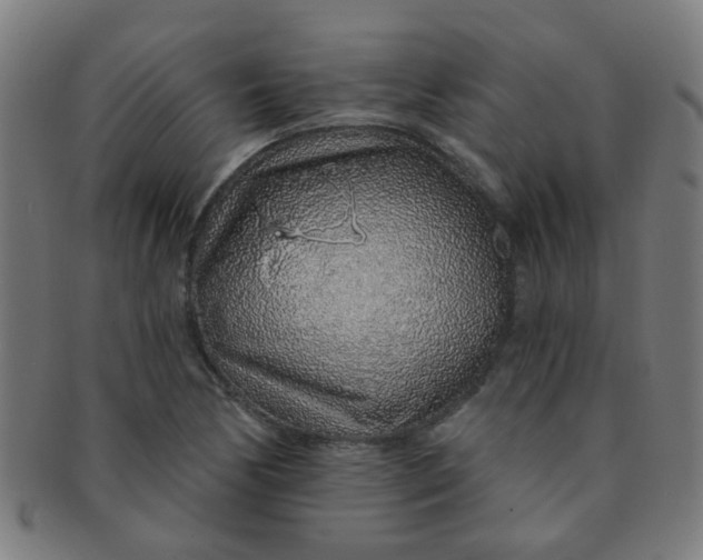 X0000091371170200708241326