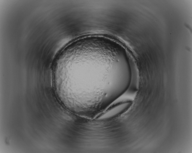 X0000091371171200708241326