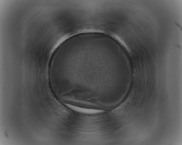 X0000091371173200708241326