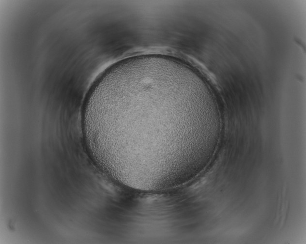 X0000091371174200708241326