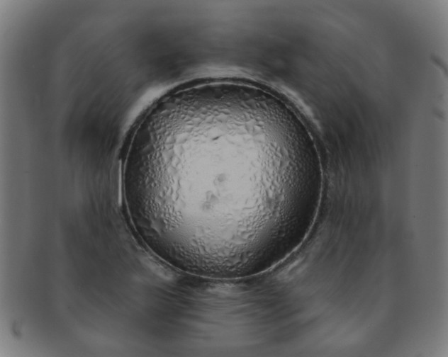 X0000091371175200708241326