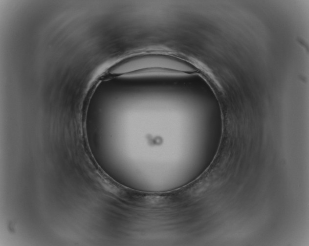 X0000091371176200708241326