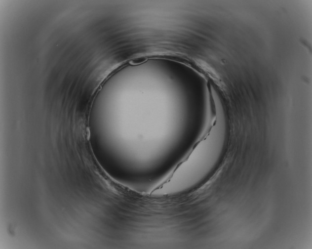 X0000091371177200708241326