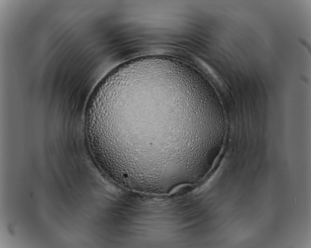 X0000091371178200708241326