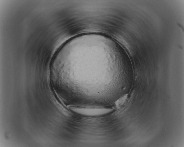 X0000091371179200708241326