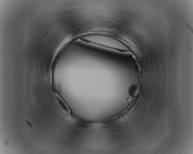 X0000091371180200708241326