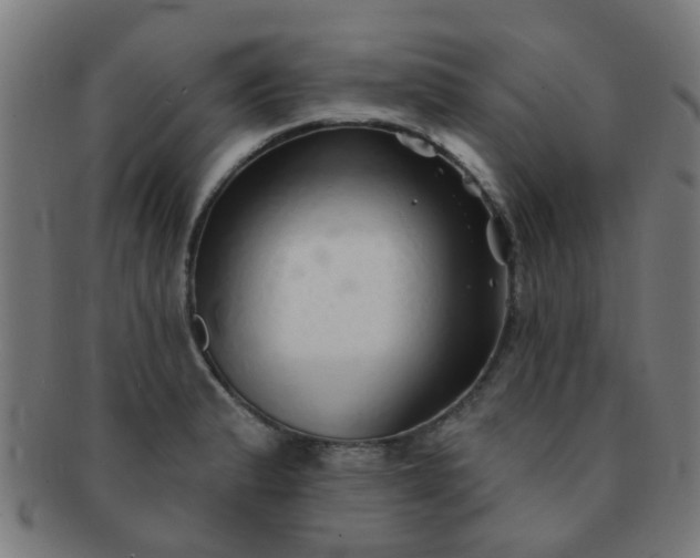 X0000091371183200708241326