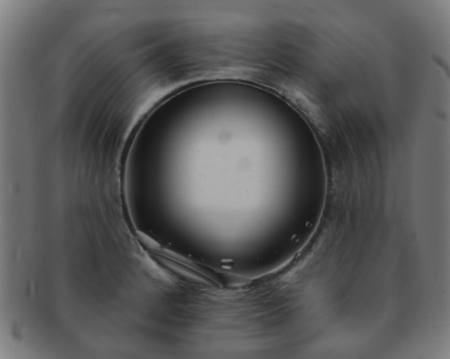 X0000091371184200708241326