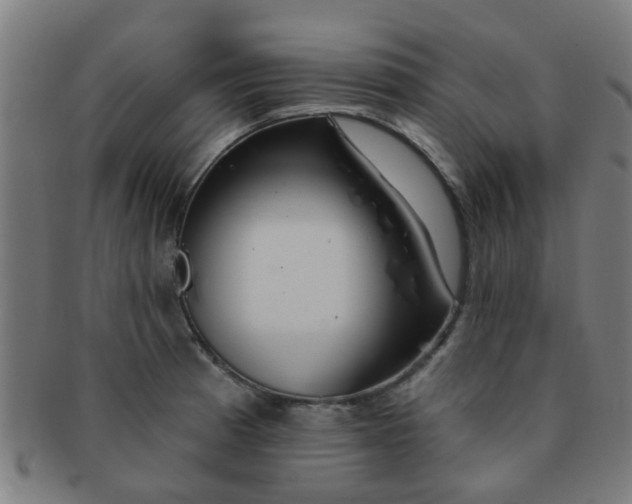 X0000091371185200708241326