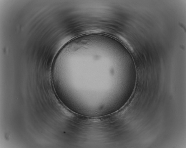 X0000091371186200708241326