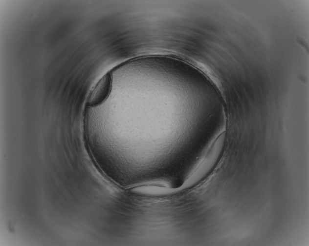 X0000091371187200708241326